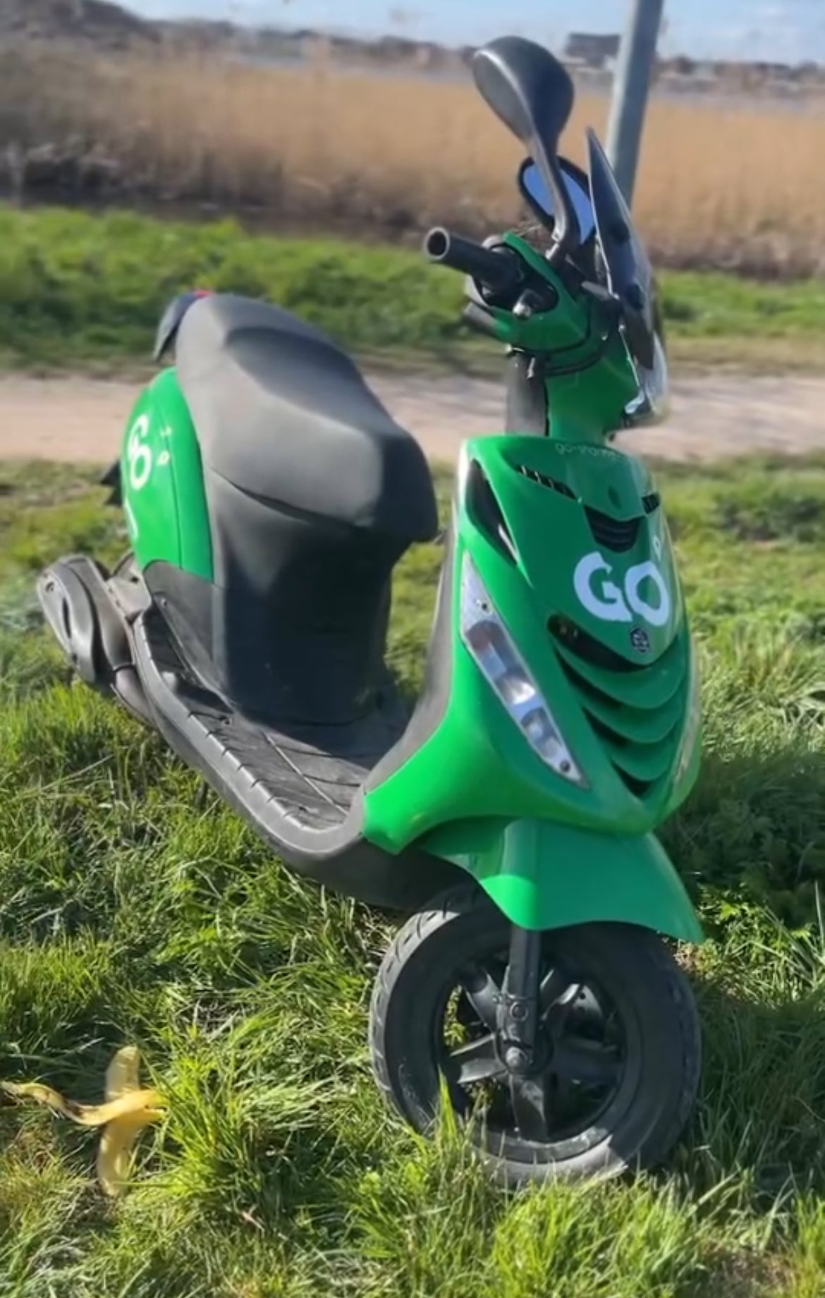 GO-Sharing Stickerset - Piaggio Zip