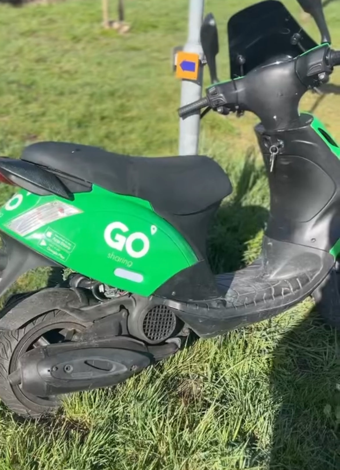 GO-Sharing Stickerset - Piaggio Zip