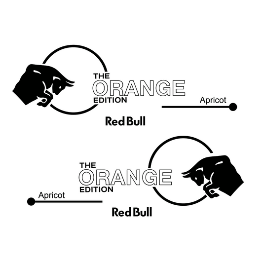 The Orange Edition Achterkant - Piaggio Zip